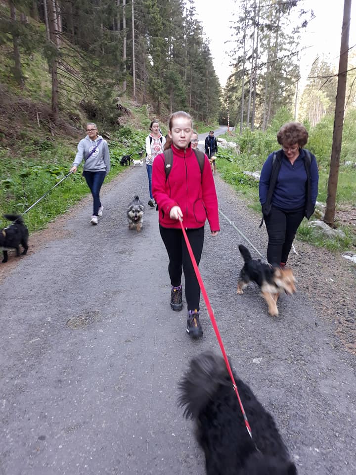 Liga nápadov - Moja škola a JA